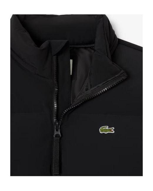 Lacoste Black Quilted Padded Jacket for men