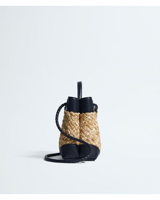 Bottega Veneta Metallic Small Andiamo