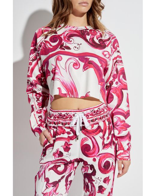 Dolce & Gabbana Pink Majolica Pattern Cropped T-Shirt