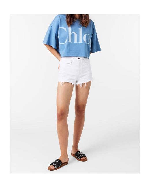 Chloé Brown Logo Slippers