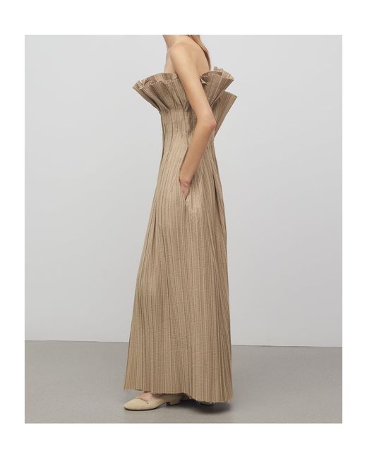 The Row Natural Strapless Dress