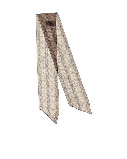 Saint Laurent White Snake-Printed Scarf