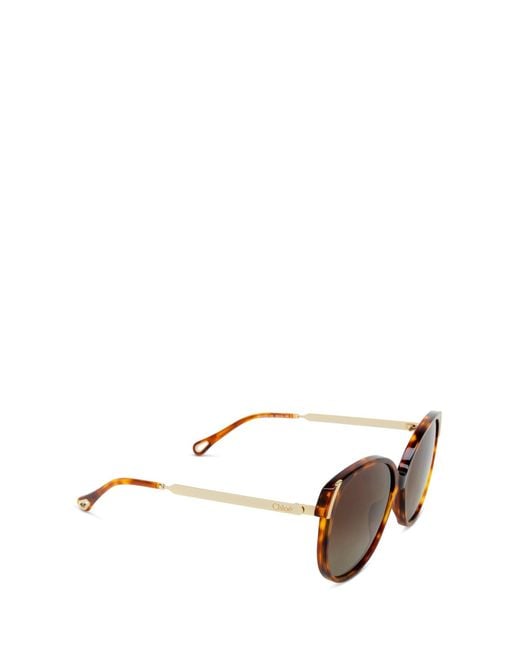 Chloé Brown Sunglasses