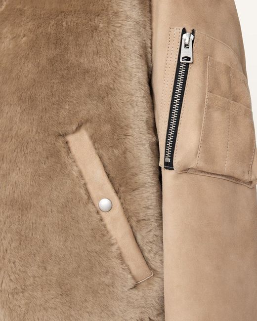 AllSaints Natural Dexter Collared Shearling Jacket