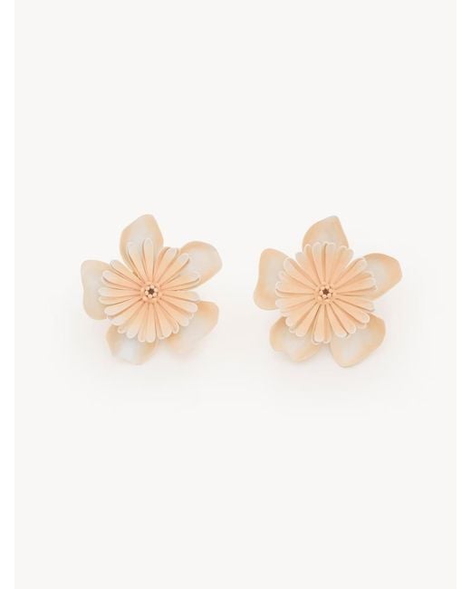 Chloé White Chloé Bloom Earrings