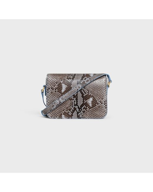 Céline Gray Teen Triomphe Bag