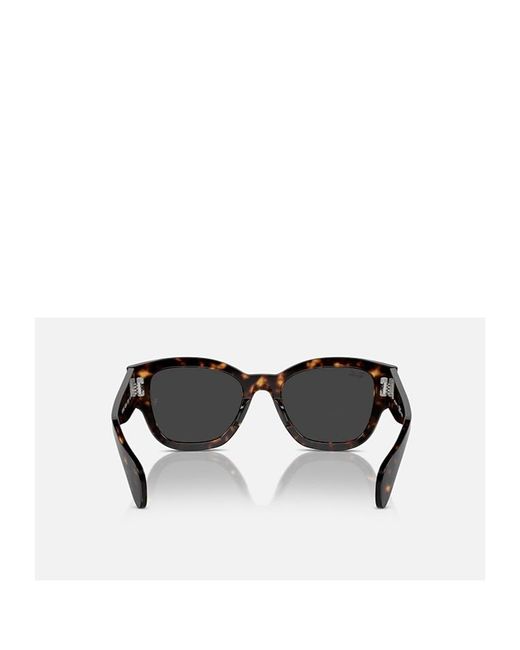 Ray-Ban Multicolor Full-Frame Sunglasses