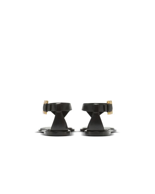 Balmain Brown Anthem Flat Toe-Post Sandals