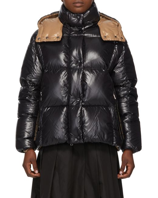 Moncler Black Parana Padded Jacket