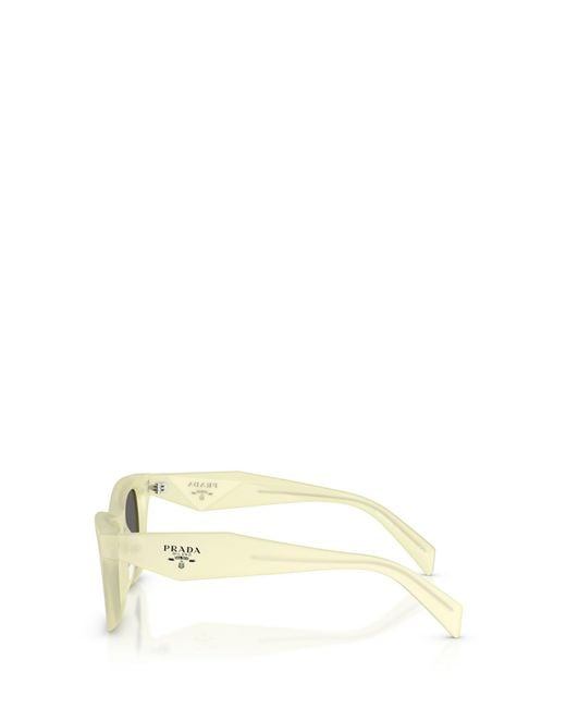 Prada Multicolor Eyewear Cat-Eye Sunglasses