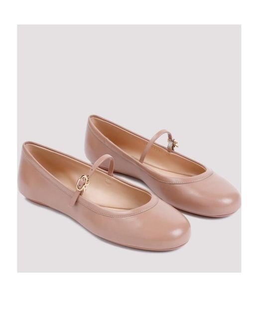Gianvito Rossi Pink Carla Buckle-Strap Ballerina Shoes