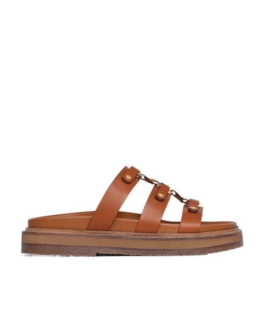 Céline Brown Slide Tippi