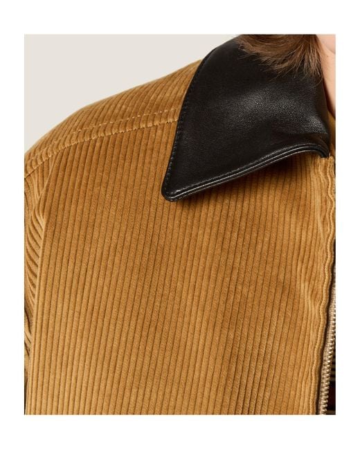Miu Miu Brown Logo-Detailed Zipped Jacket