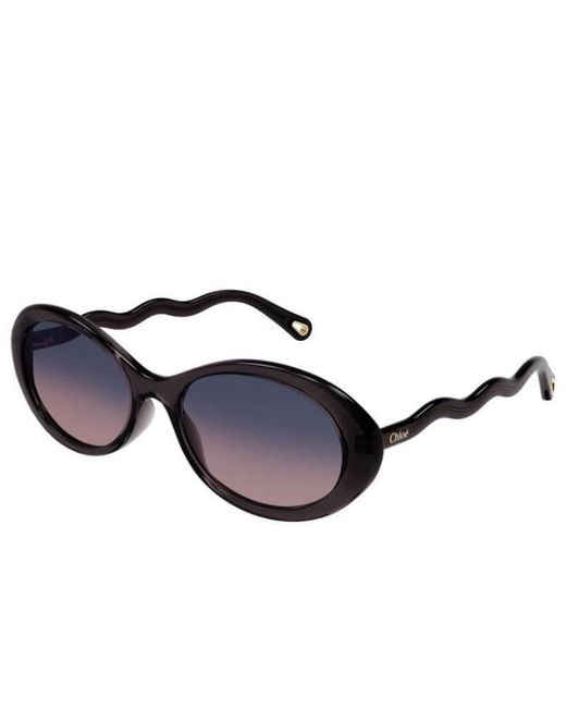 Chloé White Chloé Eyewear Oval Frame Sunglasses