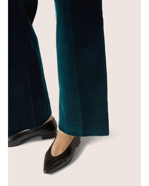 Loro Piana Blue Niklas Pants