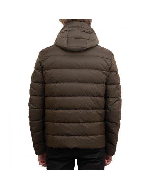 Paul & Shark Brown Long-Sleeved Quilted Down Jacket for men