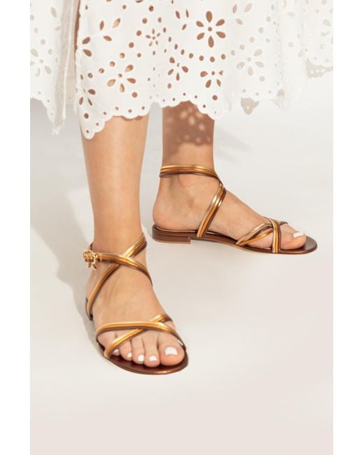 Gianvito Rossi Brown Ankle Strap Sandals