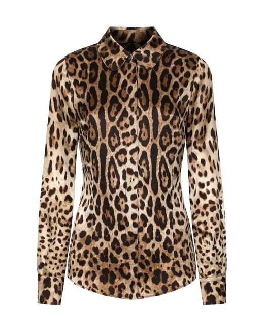 Dolce & Gabbana Brown Camicia