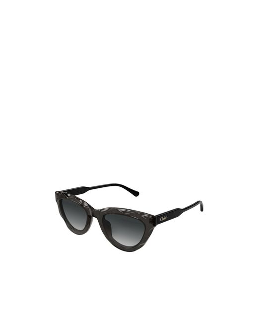 Chloé Black Chloé Eyewear Cat-Eye Frame Sunglasses