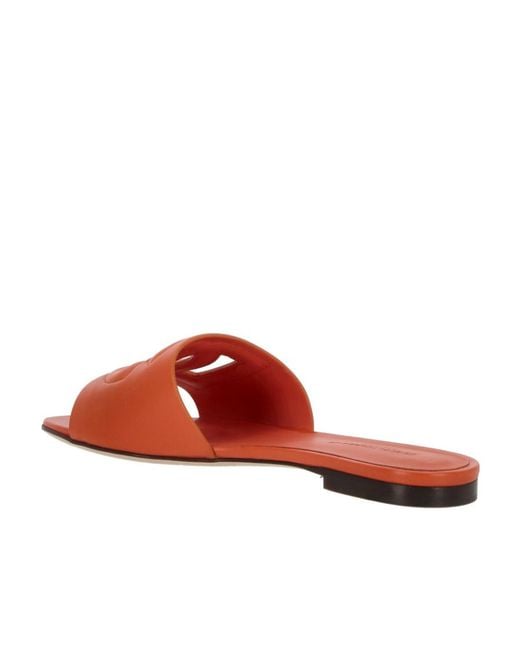 Dolce & Gabbana Brown Dg Cut Out Slides