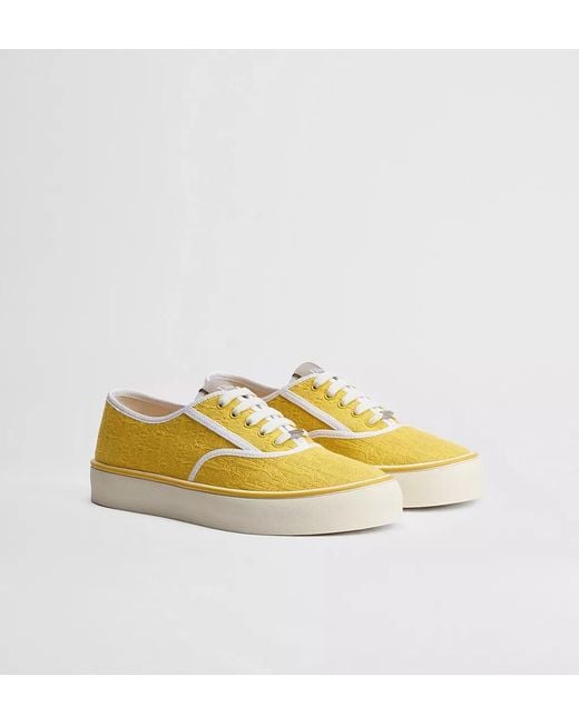 Dior Yellow Saltwind Sneaker for men