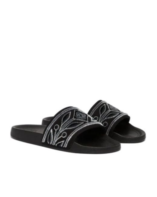 Casablanca Black Pool Slides