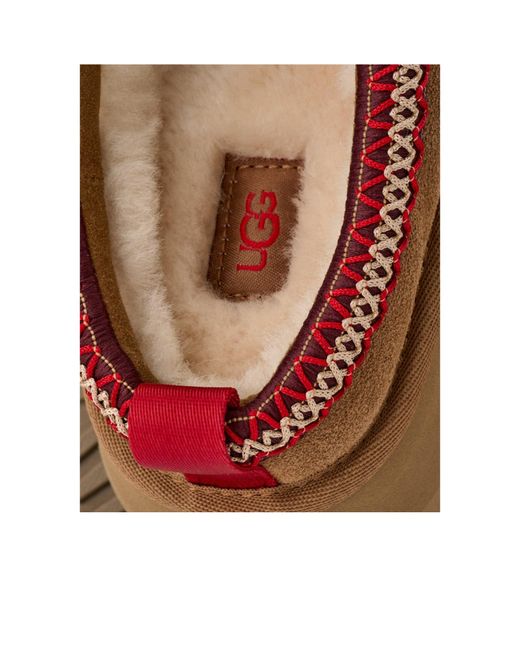 Ugg Brown Tazz Ii