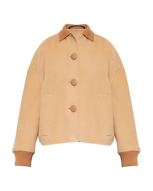 Marni Natural Contrasting Collar Buttoned Coat