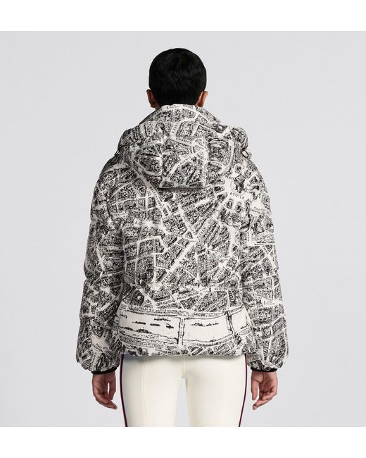 Dior Gray Alps Hooded Down Jacket