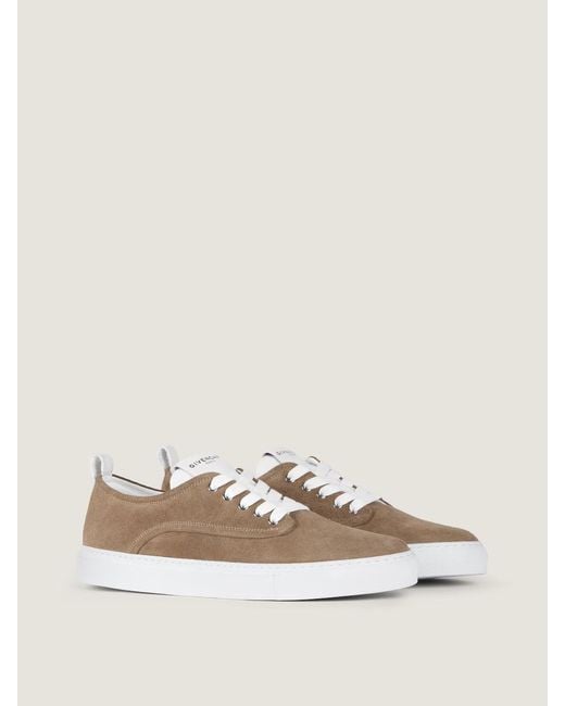 Givenchy Brown New City Low-Top Sneakers for men
