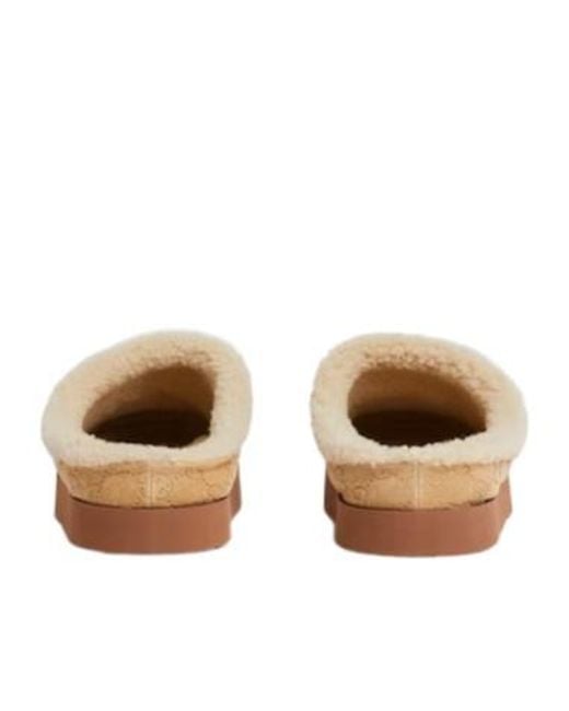 Gucci Brown Horsebit Mules for men