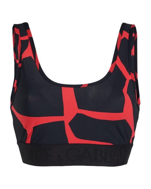 Dolce & Gabbana Blue Two-Tone Sports Vest