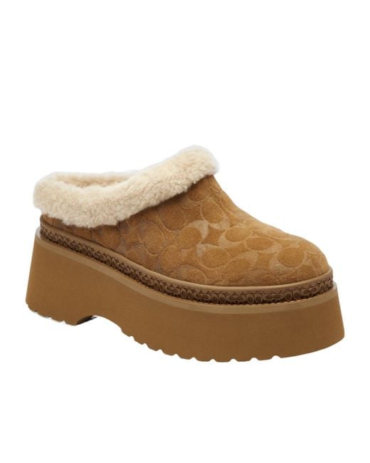 COACH Brown Cecelia Platform Mules