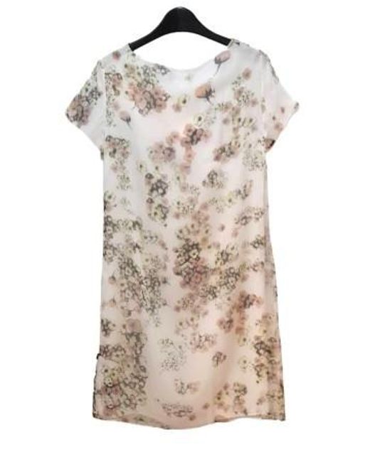 Max Mara Natural Round Neck Short Sleeve Dress