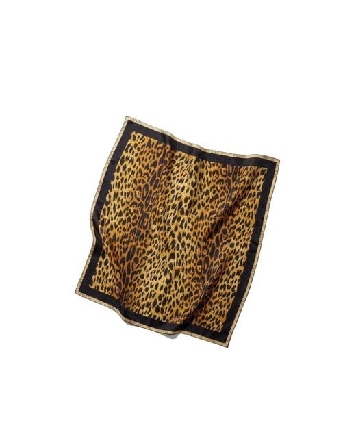 Gucci Brown Printed Silk Twill Carré