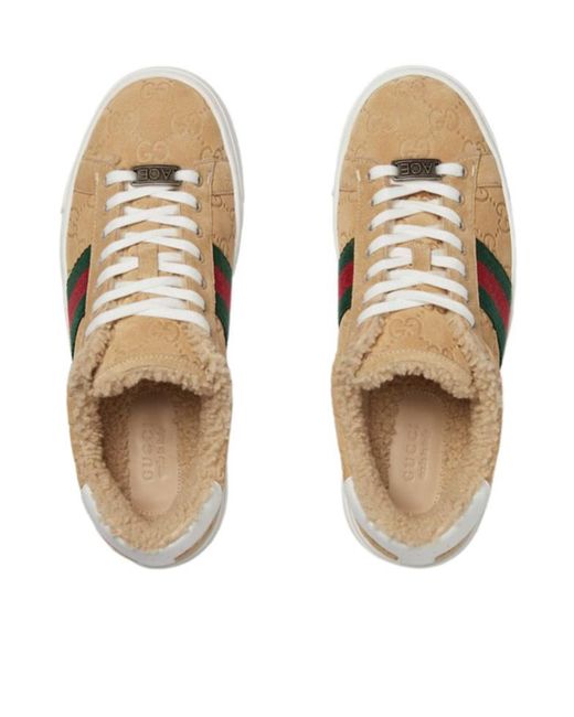 Gucci Multicolor Web Detailed Low-Top Sneakers
