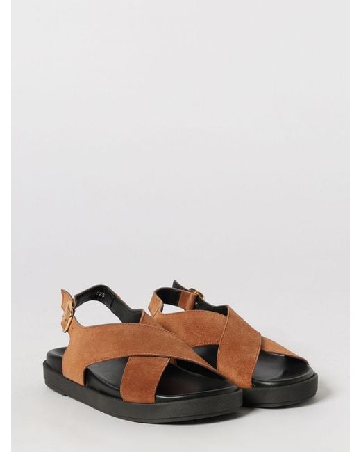 Alohas Brown Nico Sandals