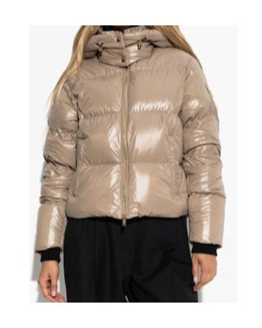 Moose Knuckles Natural Hooded Down Jacket