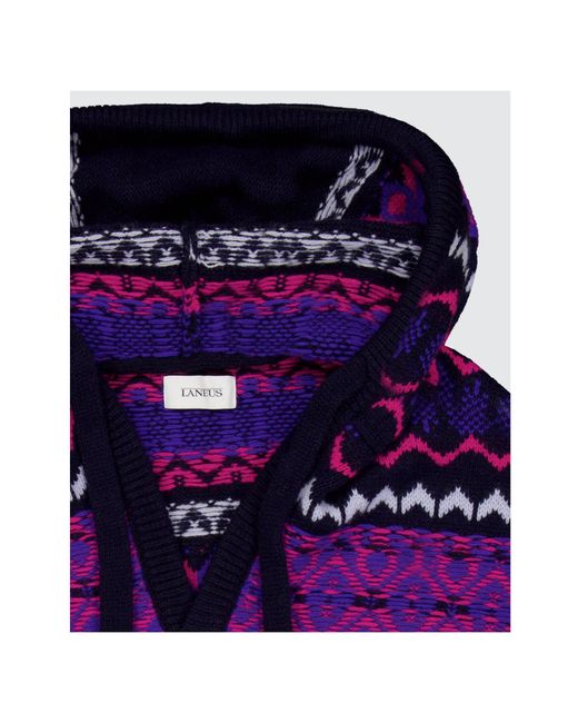 Laneus Purple Hooded Sweater for men