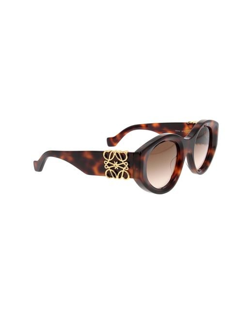 Loewe Multicolor Oversized Oval-Frame Sunglasses