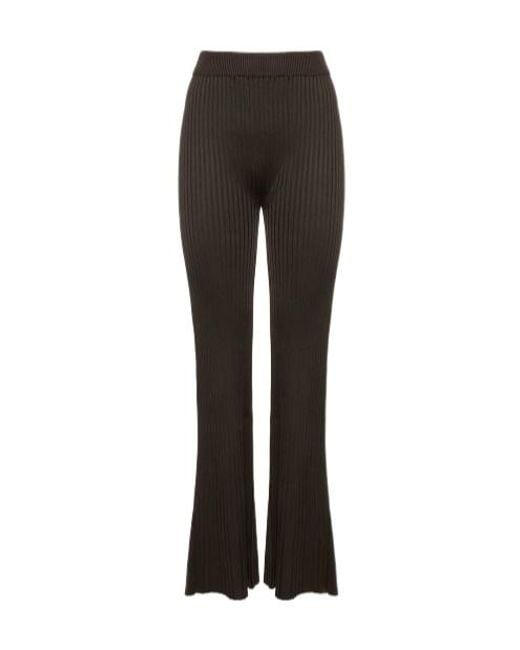 Jil Sander Brown Rib Horn Casual Pants