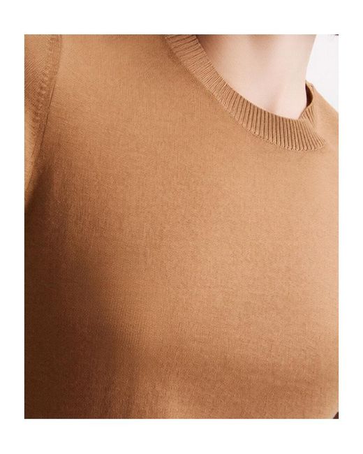 Marella Brown Crew-Neck Short-Sleeve Sweater