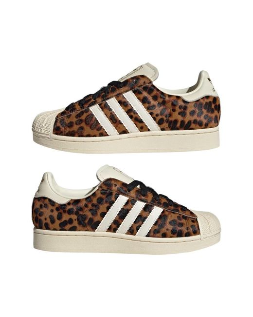 Adidas Originals Brown Superstar Ii Shoes