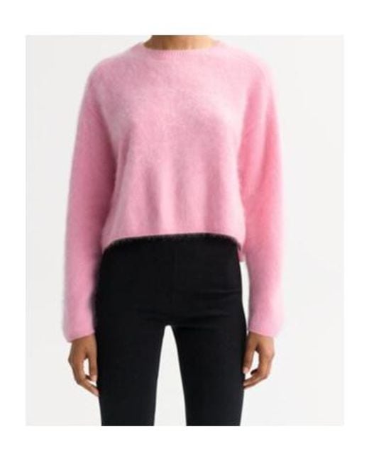Soft Goat Pink Long-Sleeved Sweater