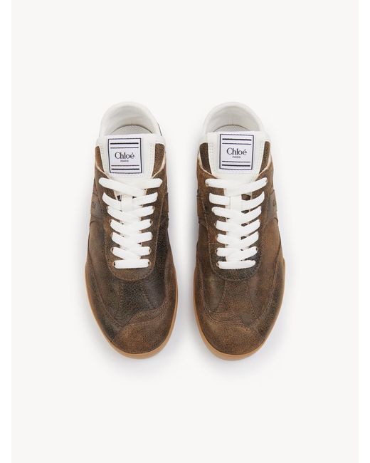 Chloé Brown Chlo Kick Low-Top Sneakers