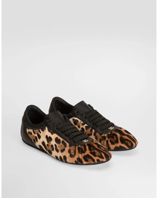 Dolce & Gabbana Brown Leopard Printed Sneakers