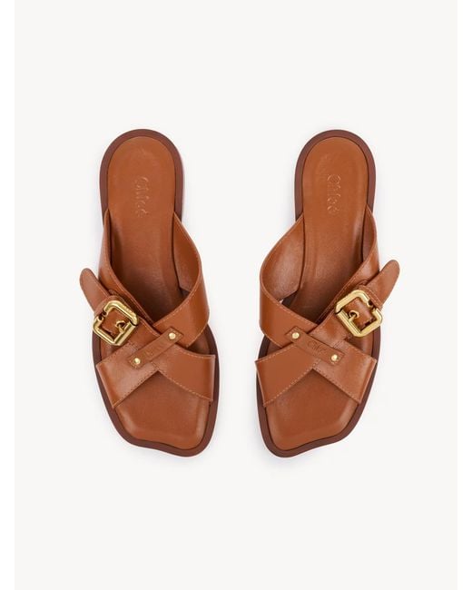 Chloé Brown Nil Slide