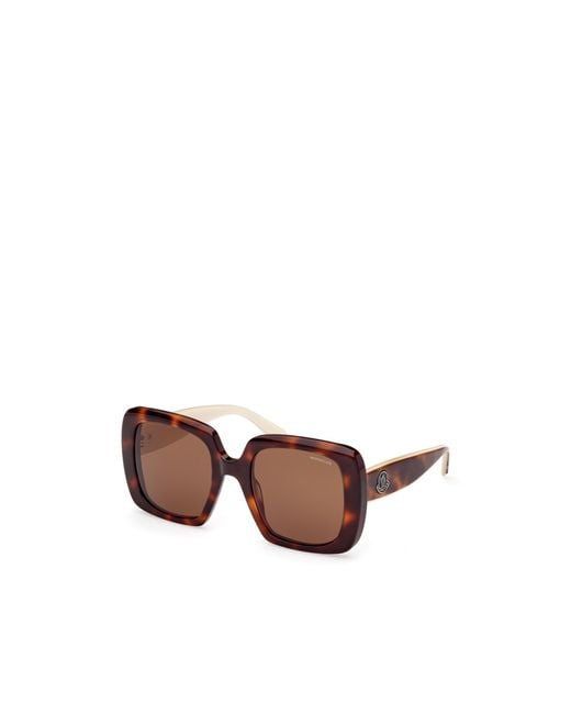 Moncler Brown Eyewear Square Frame Sunglasses