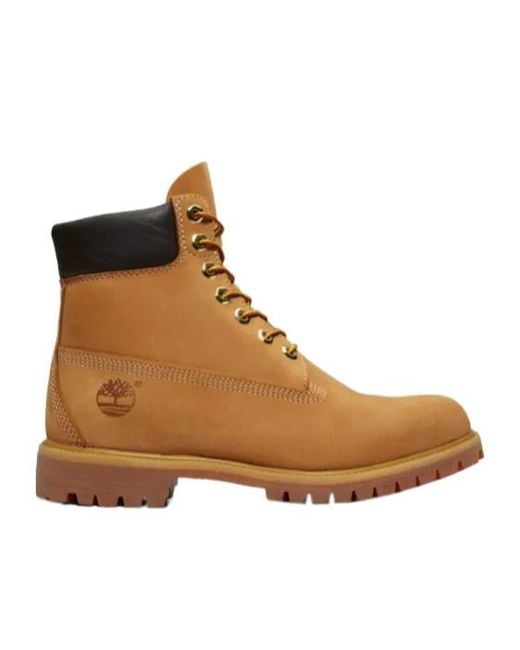 Timberland Brown Lace-Up Waterproof Boots for men