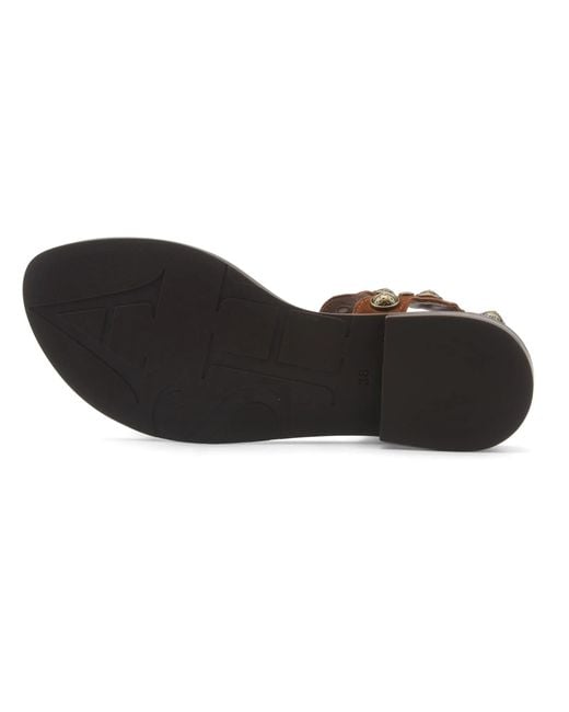 Ash Brown Studded Flat Sandals